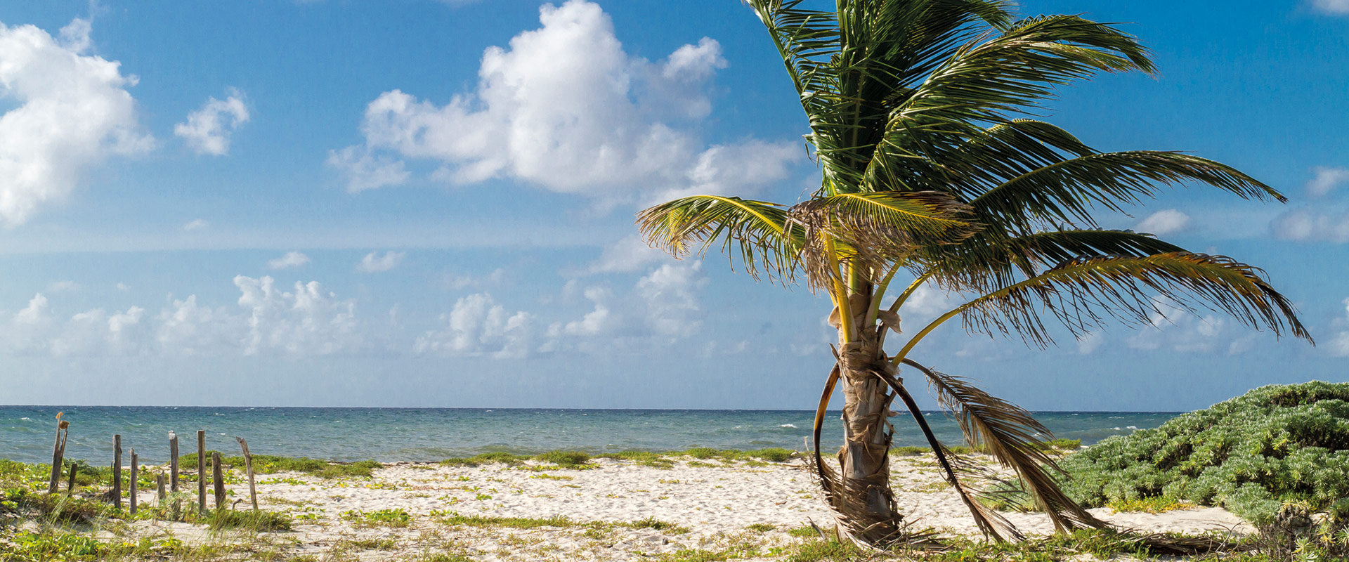 Cozumel, Punta Sur