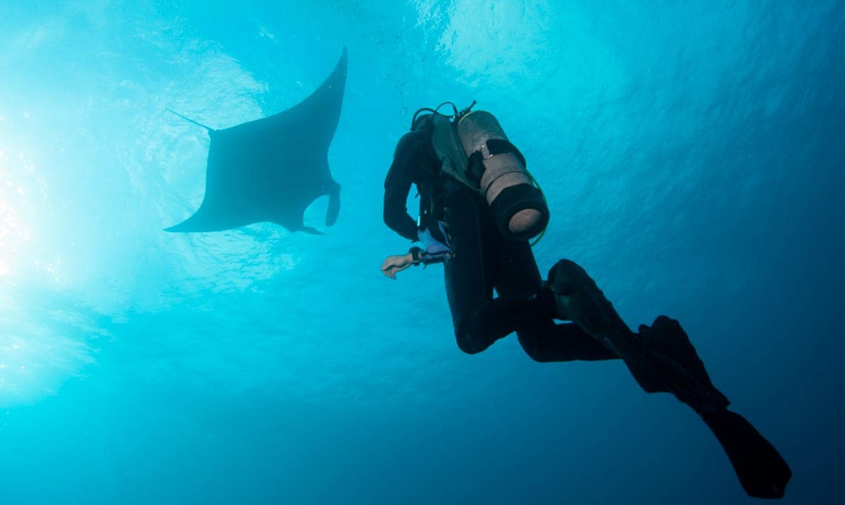 Tres lugares únicos para bucear con tiburones con Karlos Simón