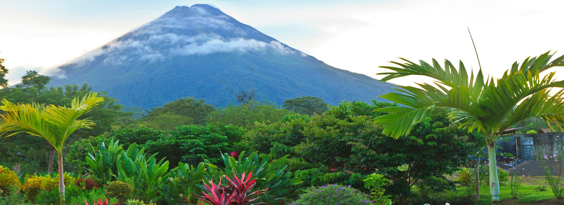 Postal desde Costa Rica: donde la vida silvestre y la naturaleza brillan con luz propia