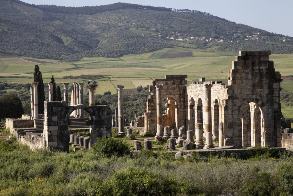 volubilis_longshot_ii